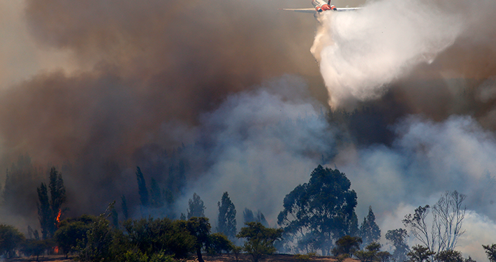 Incendios dejan 1.627 hectáreas y 4.613 animales fallecidos
