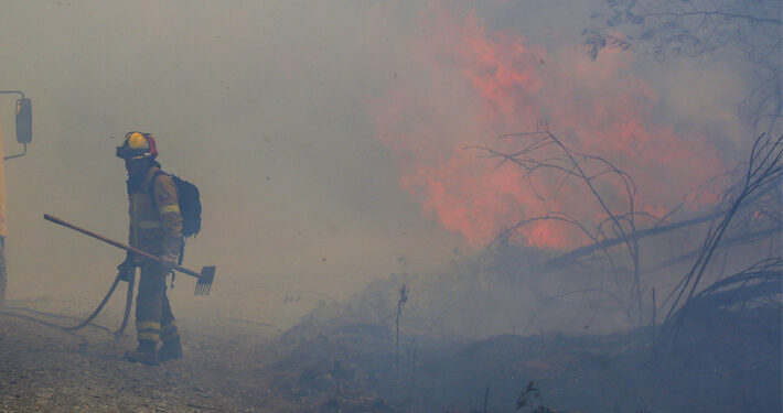 Santa Juana: Catastro revela que 71% de la comuna fue afectada por incendios