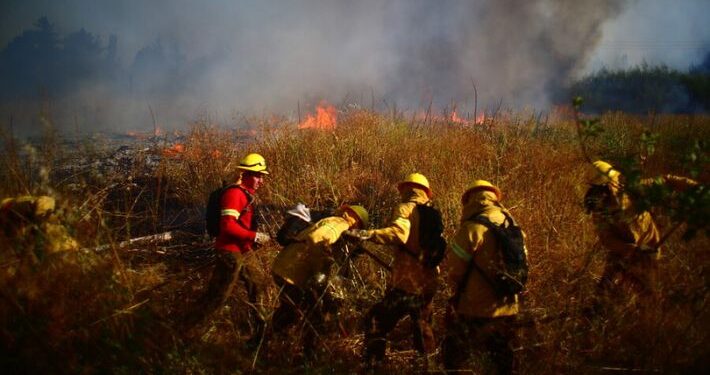 Riña entre sujetos y brigadistas forestales deja cinco lesionados en Tomé