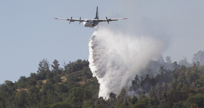 Balance: 22 incendios forestales en combate y 458 mil hectáreas destruidas
