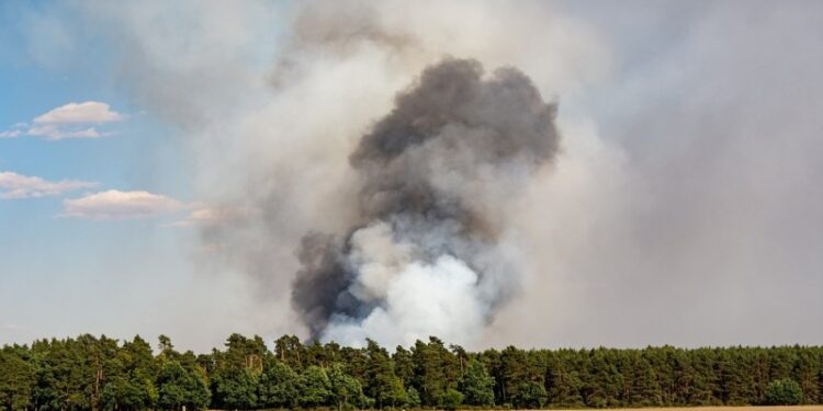 Provincia de Osorno se mantiene en Alerta Amarilla por incendios forestales