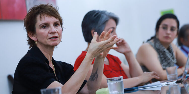 Gobierno anunció que no se inmiscuirá en campaña para Consejo Constitucional