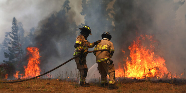 Confirman 31 detenidos por presunta participación en incendios forestales