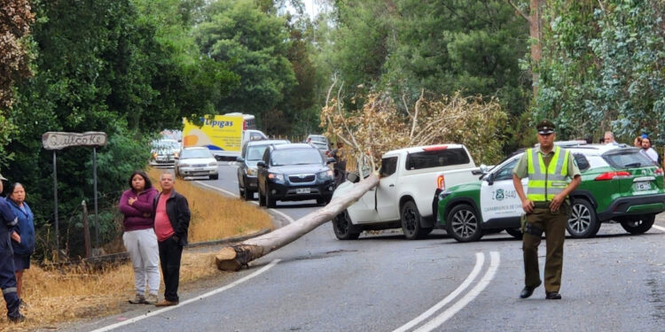 Exdirector de Conaf falleció tras caer un árbol encima de su vehículo