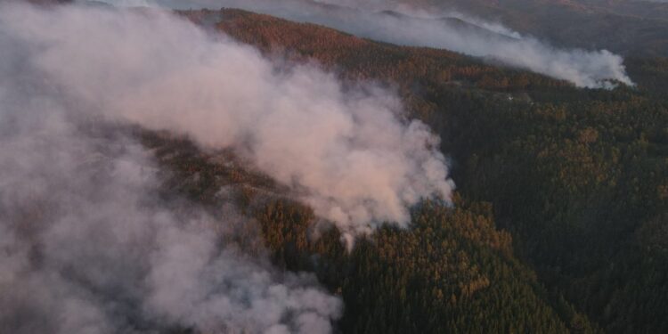 Gobierno anunció toque de queda en zonas afectadas por incendios forestales