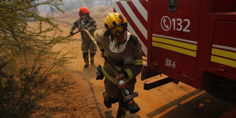 Gobierno presentó querella a quienes impidieron paso de brigadistas en Arauco