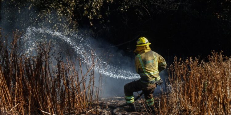 Gobierno confirma muerte de brigadista de Conaf en combate de incendios