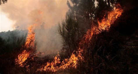 Declaran alerta temprana preventiva en la región por incendios forestales