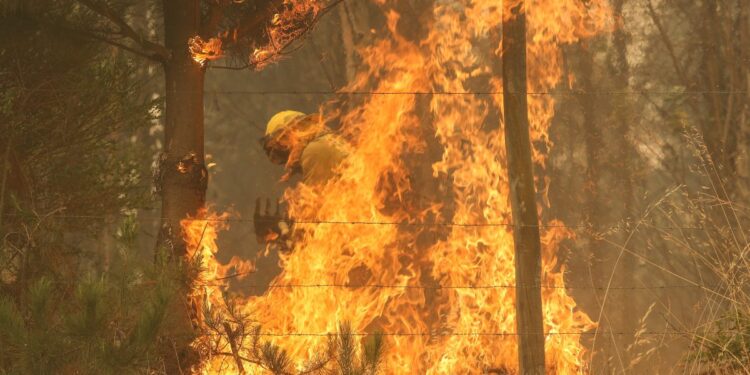 Nuevo balance: senapred reporta 20 incendios forestales en combate