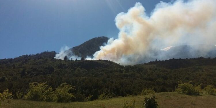 Declaran Alerta Roja para la comuna de Palena por incendio forestal