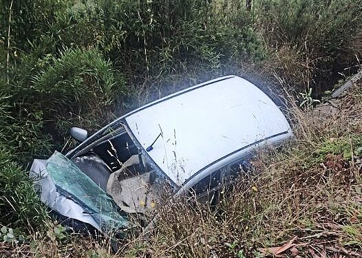 Puyehue: conductora fallece tras impactar muro y caer a un costado de la ruta 215