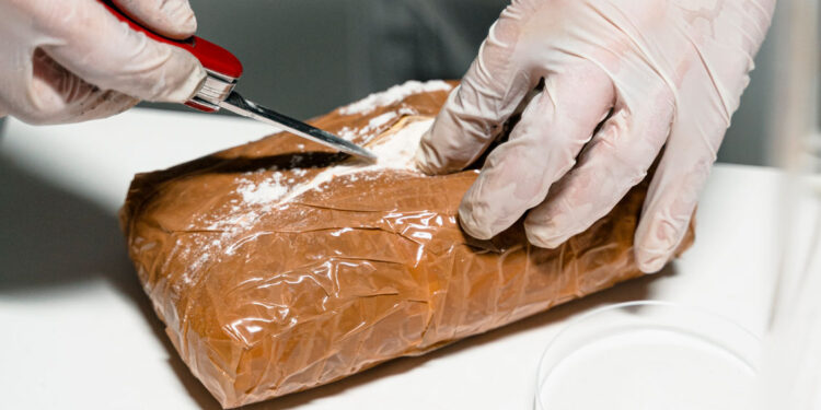 ONU alerta de la «amenaza» por una mayor pureza y tráfico de cocaína