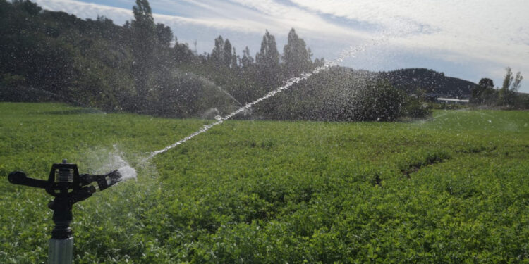 Día del Agua: Gobierno ingresó proyecto para reutilizar «aguas grises» en riego de cultivos