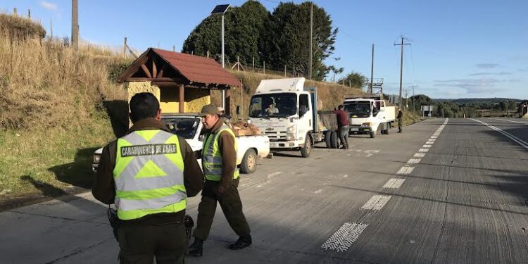 CONAF junto&nbsp;&nbsp;a Carabineros fiscalizan transportes de madera del bosque nativo