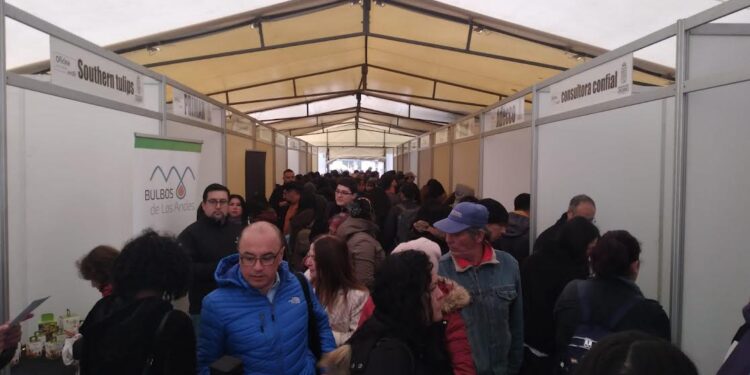 Más de mil personas asistieron a Feria Laboral en Osorno
