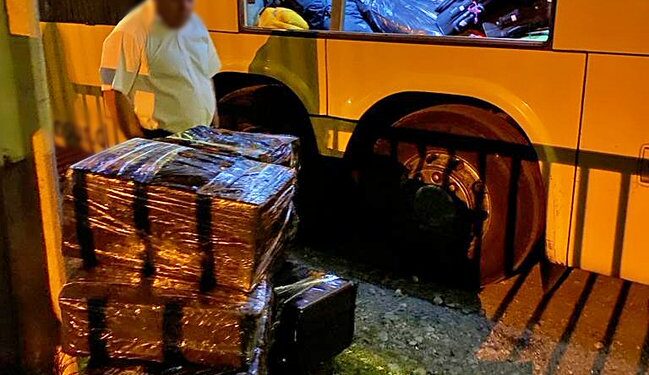 Incautan 200 pescados transportados insalubres en bus