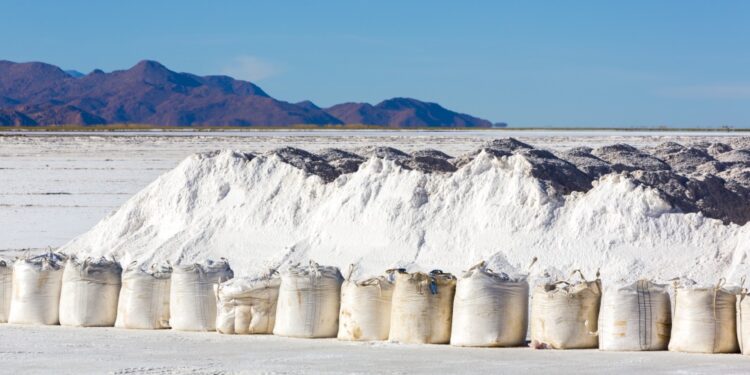 Estrategia Nacional del Litio: “Podría haber” gran participación de privados
