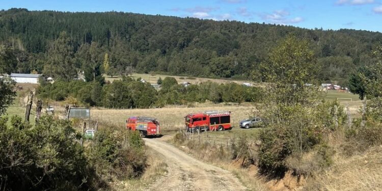 Conductor falleció tras perder control de camión en Purranque