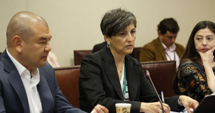 Gobierno retrasa ingreso de ley isapres para después de elecciones