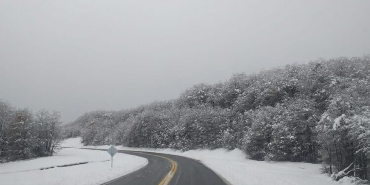 Habilitan tránsito vehicular en paso Cardenal Samoré tras caída de nieve