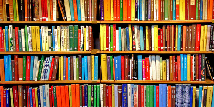 Biblioteca de Francke abrió sus puertas a lectores de Osorno