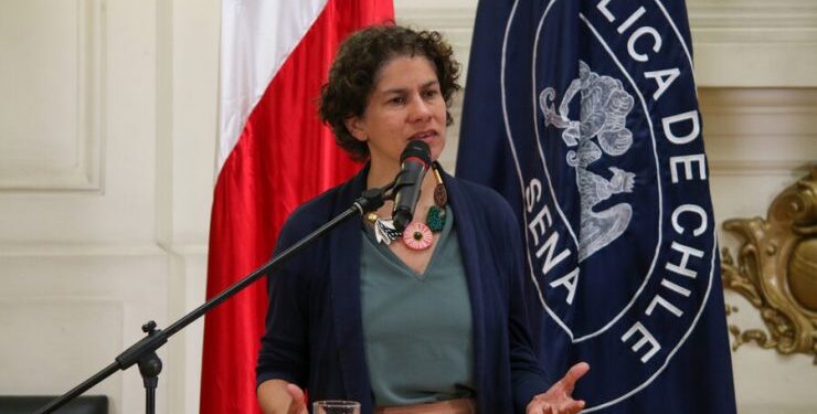 Ministra Rojas descarta anuncio de cambio al impuesto específico a combustibles