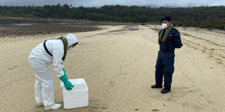 SAG Los Lagos anuncia levantamiento de cuatro zonas que se mantenían bajo control sanitario
