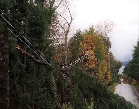 Saesa informó que ha recuperado el servicio al 99% de clientes de la provincia de Osorno