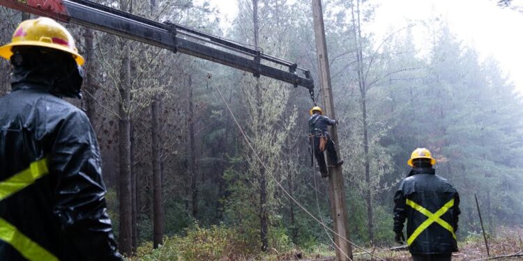 Osorno: Activan plan de contingencia eléctrico ante sistema frontal anunciado 