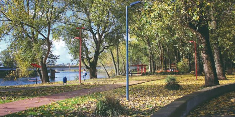 Podarán más de 100 árboles del parque Bellavista en Osorno