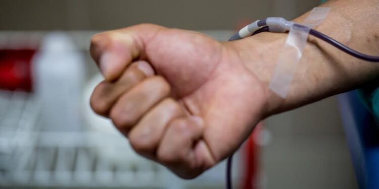 Osorno: Invitan a participar de concurso de dibujo por la donación de sangre 2023