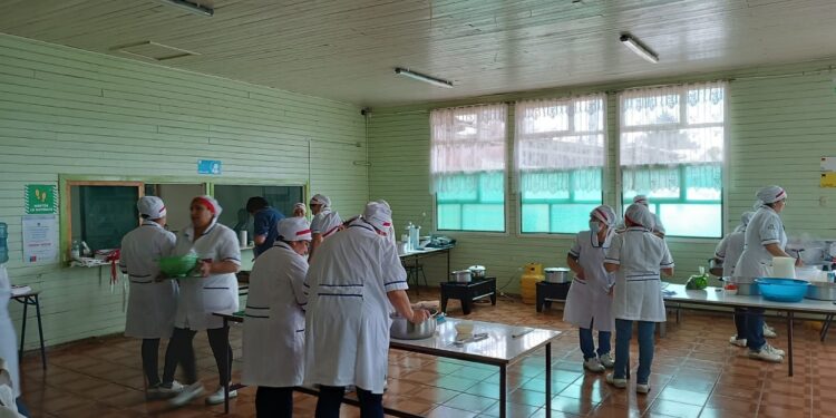 Osorno: Sindicato de manipuladoras de alimentos provincial inician paro indefinido 