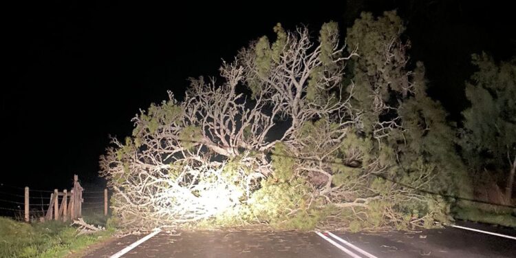 Osorninos reportan diversos hechos tras frente de mal tiempo la noche de este martes