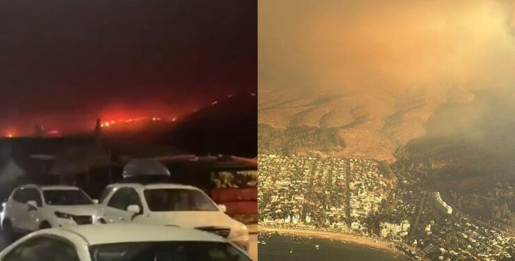 Se mantiene Alerta Roja: Incendio en Zapallar y Papudo supera las 350 hectáreas consumidas