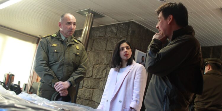 Detienen a 10 integrantes de organización criminal “Alcaeda” en Puerto Montt