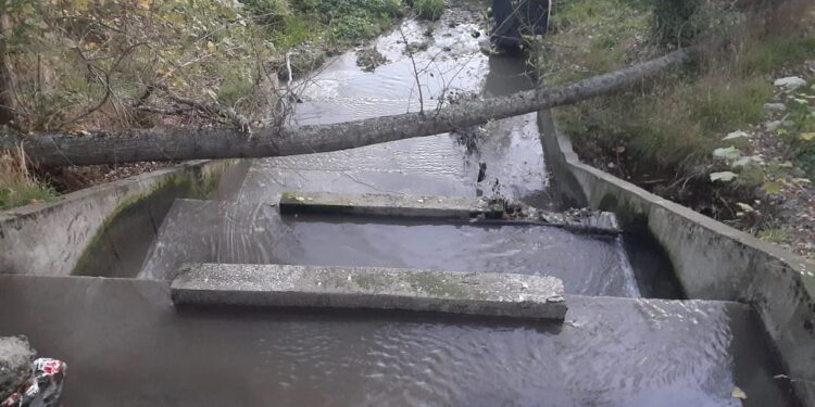Agrupación denuncia grave contaminación en estero de Ovejería  