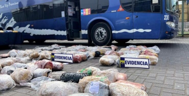 11 miembros del “Tren de Aragua” detenidos: PDI incautó 170 kilos de droga, dinero en efectivo y un bus interprovincial