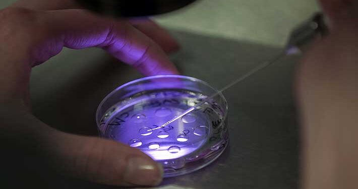 Nace en Reino Unido guagua con ADN de tres personas: evitaría heredar enfermedades incurables