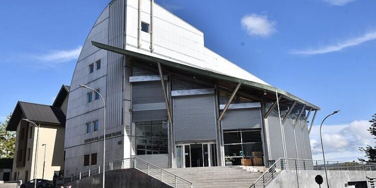 Puerto Octay: Confirman condena de 10 años de cárcel a hombre por femicidio frustrado