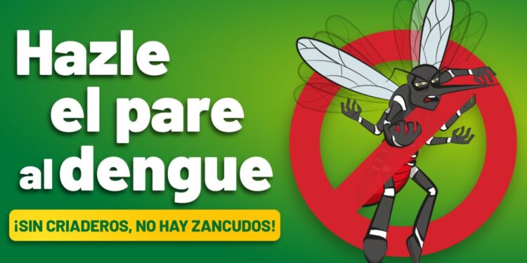 Perú declaró emergencia sanitaria en 20 de sus 25 regiones por brote de dengue