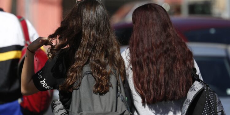 Educación superior alcanzó los niveles de matrícula más altos de su historia
