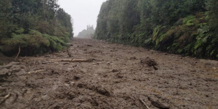 Chaitén: Remoción de masas en Caleta Gonzalo obligó a suspender el tránsito en la Ruta 7