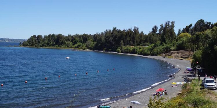 Puyehue y Conquista Chile realizarán “Encuentro Internacional de Natación en Aguas Frías”