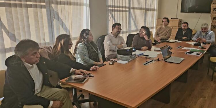 Acuerdan jornada informativa para entregaravances sobre Estudio en la Cuenca del río Rahue