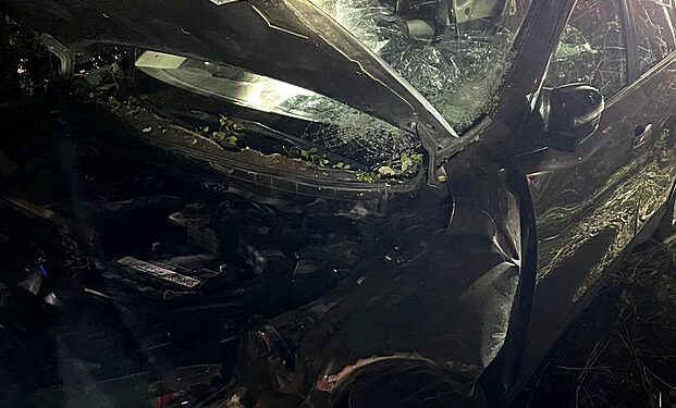Tres lesionados dejó colisión de vehículo contra árboles en ruta a Volcán Osorno
