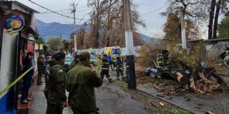 En Concepción y Peñalolén: Dos personas mueren por caída de árboles durante sistema frontal