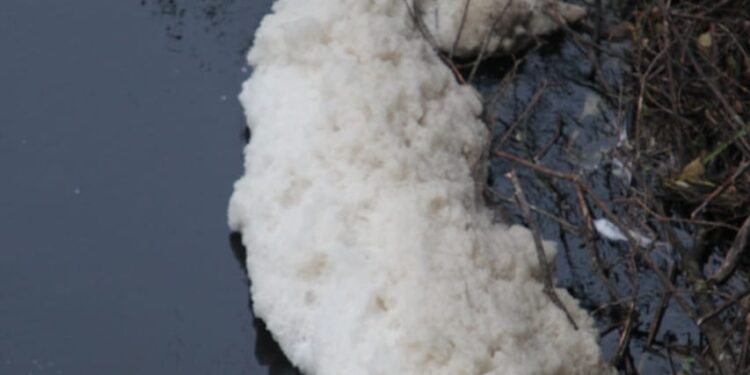 Red Ambiental Ciudadana de Osorno denunció nuevo caso de contaminación en río Damas