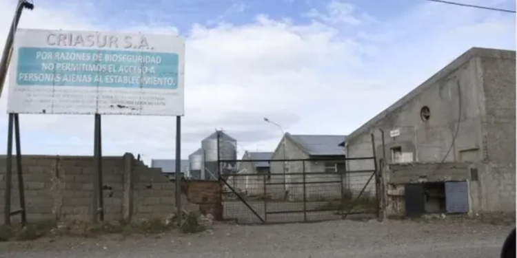 Chileno fue rescatado tras pasar 20 años en condiciones de esclavitud en Argentina