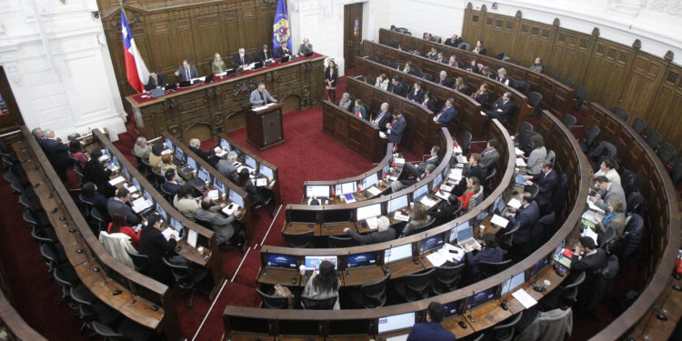 Consejera constitucional fue reportada como desaparecida en Santiago