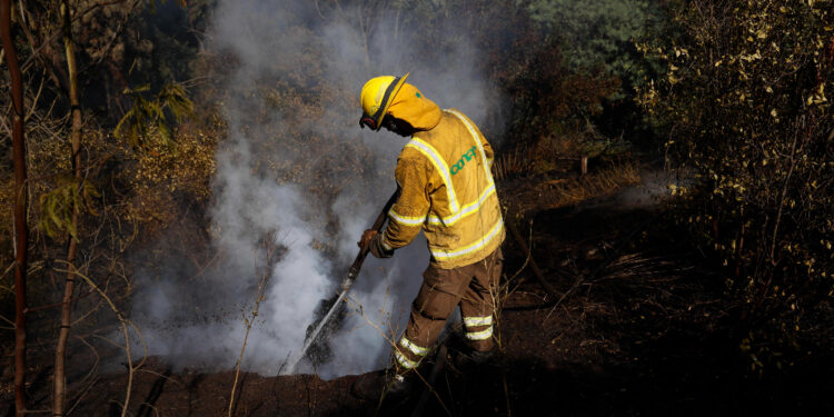 Brigadistas chilenos viajarán a Canadá para combatir los incendios forestales